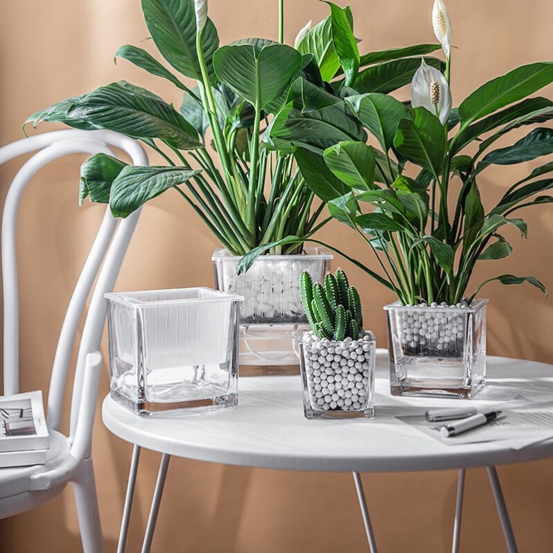 Hydroponic plant glass bottle transparent straight square vase simple gold Ge flower pot white palm hydroponic tank container