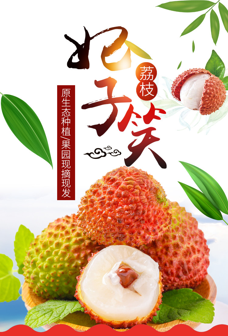 兴旺好  广东现摘妃子笑荔枝 5斤 图1