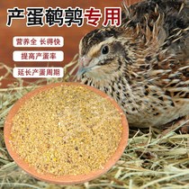 Quail egg production feed high egg production quail feed high protein non-antibiotic powdered small particle quail feed