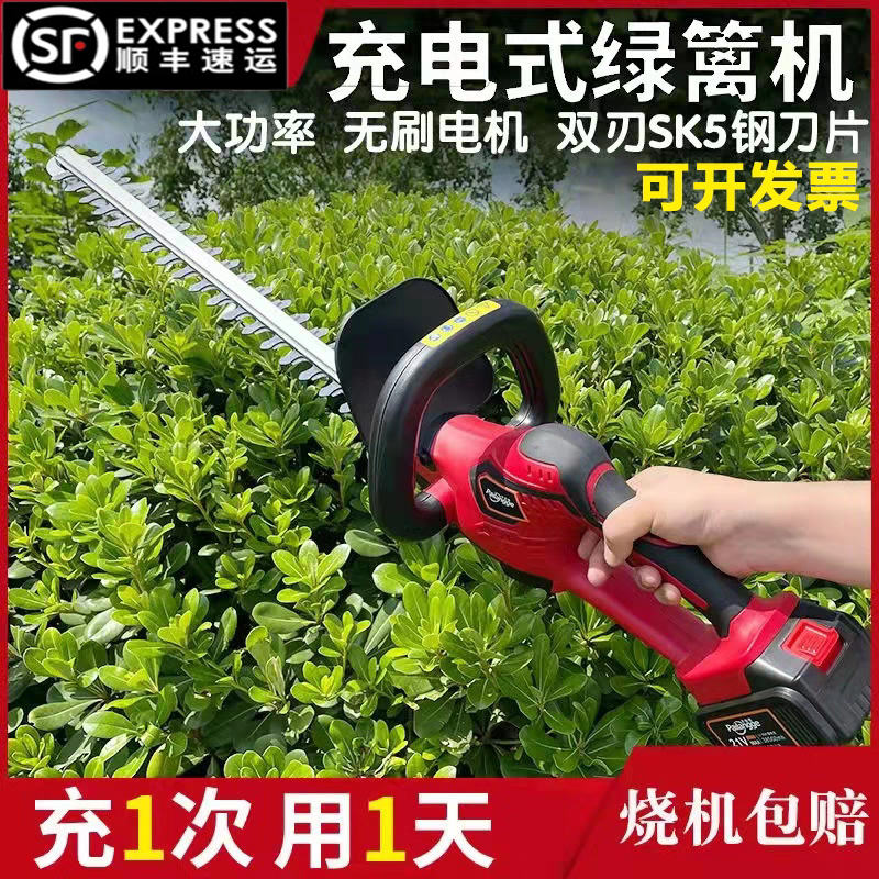 Pailang Electric Hedge Trimmer for Pruning Tea Leaves, Hedge Branches, Garden Machinery, and Greenery, with a Large Reciprocating Saw Pailang Electric Hedge Trimmer for Pruning Tea Leaves, Hedge Branches, Garden Machinery, and Greenery, with a Large Reciprocating Saw