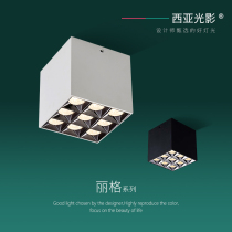 Western Asia Light Shadow fitting square led Nordic Living room No main lamp suction top type No main lamp spotlight Four-nine Palace Glamp