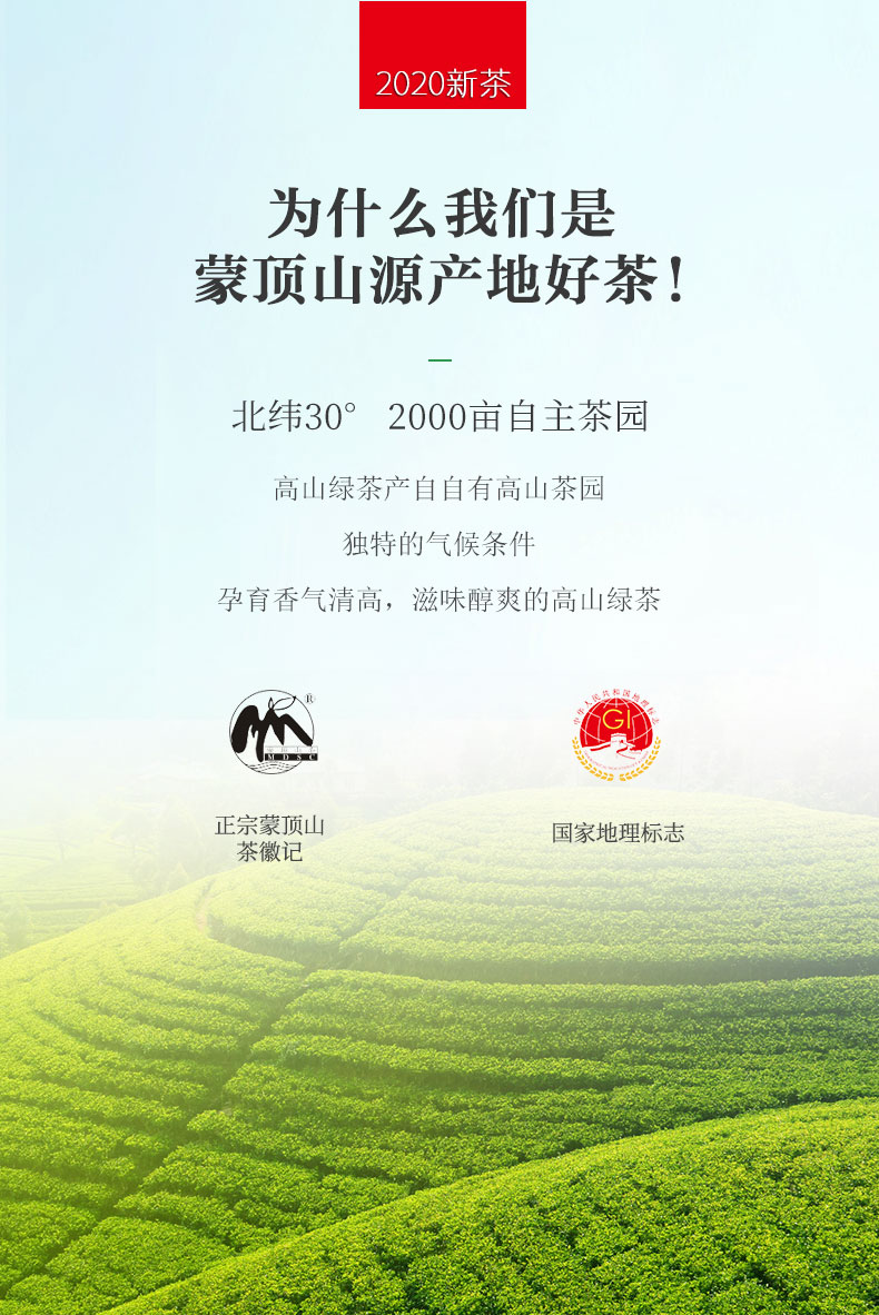 雾本 20新茶 蒙顶高山云雾绿茶 100g/罐 图1