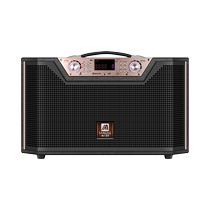 Manlong outdoor audio internet celebrity live broadcast with high-end sound card musical instrument performance mobile portable square dance speaker 3593