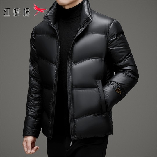 Red Dragonfly Men's down Jacket 2025 Winter New Style Stand Collar Puffer Jacket Casual Thick Short Coat Men's Trendy