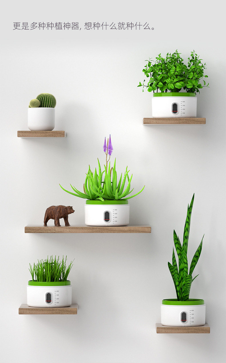 【中國直郵】Science can科學罐頭 孟德爾培育艙兒童種植小盆栽迷你立體植物盆觀察盒