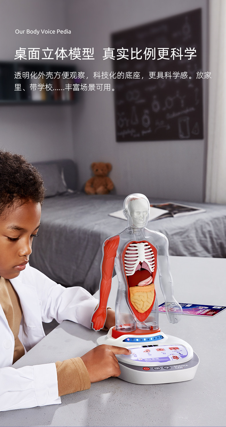 【中国直邮】Science can科学罐头 人体解剖模型器官可拆卸儿童教学玩具我们的身体语音百科