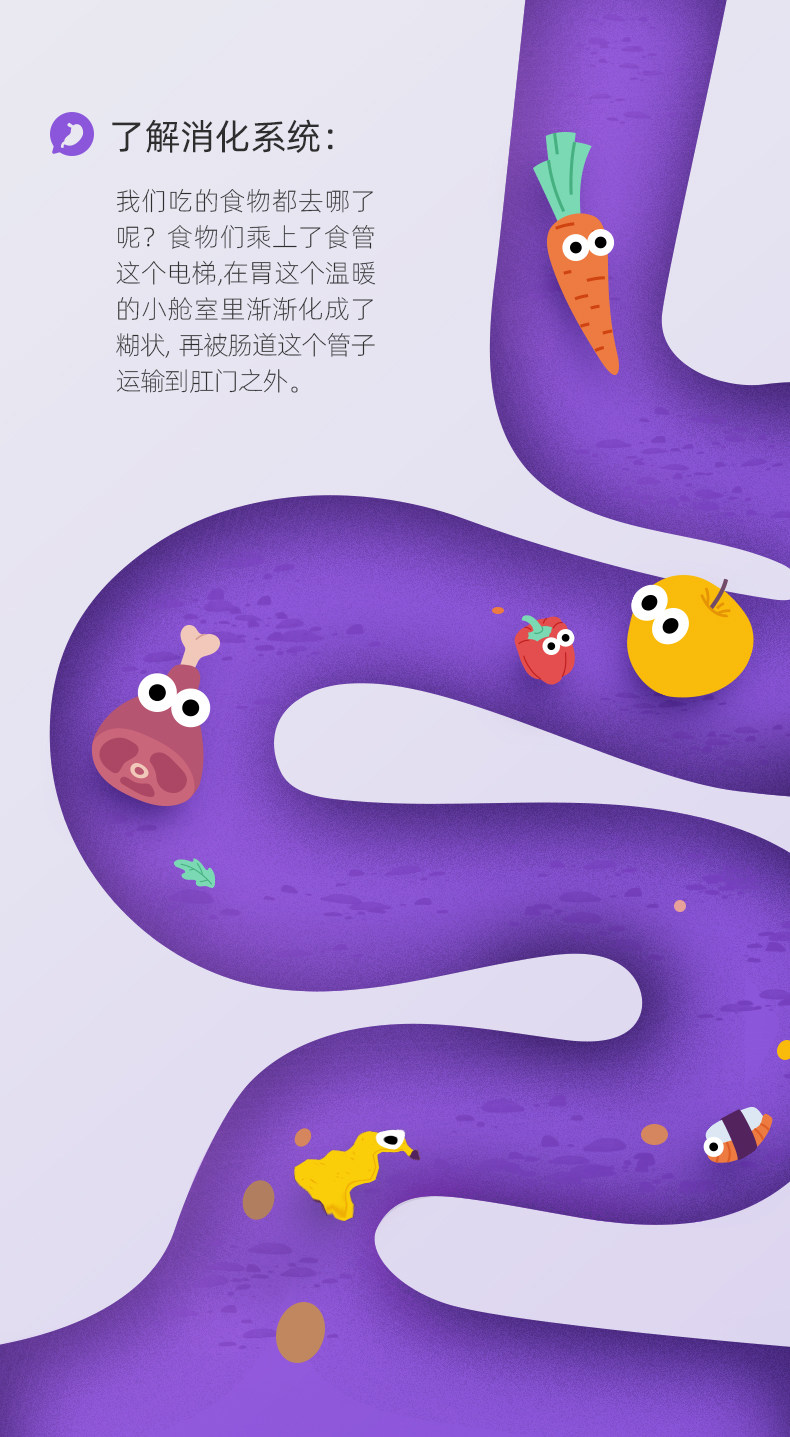 【中国直邮】Science can科学罐头 人体解剖模型器官可拆卸儿童教学玩具我们的身体语音百科