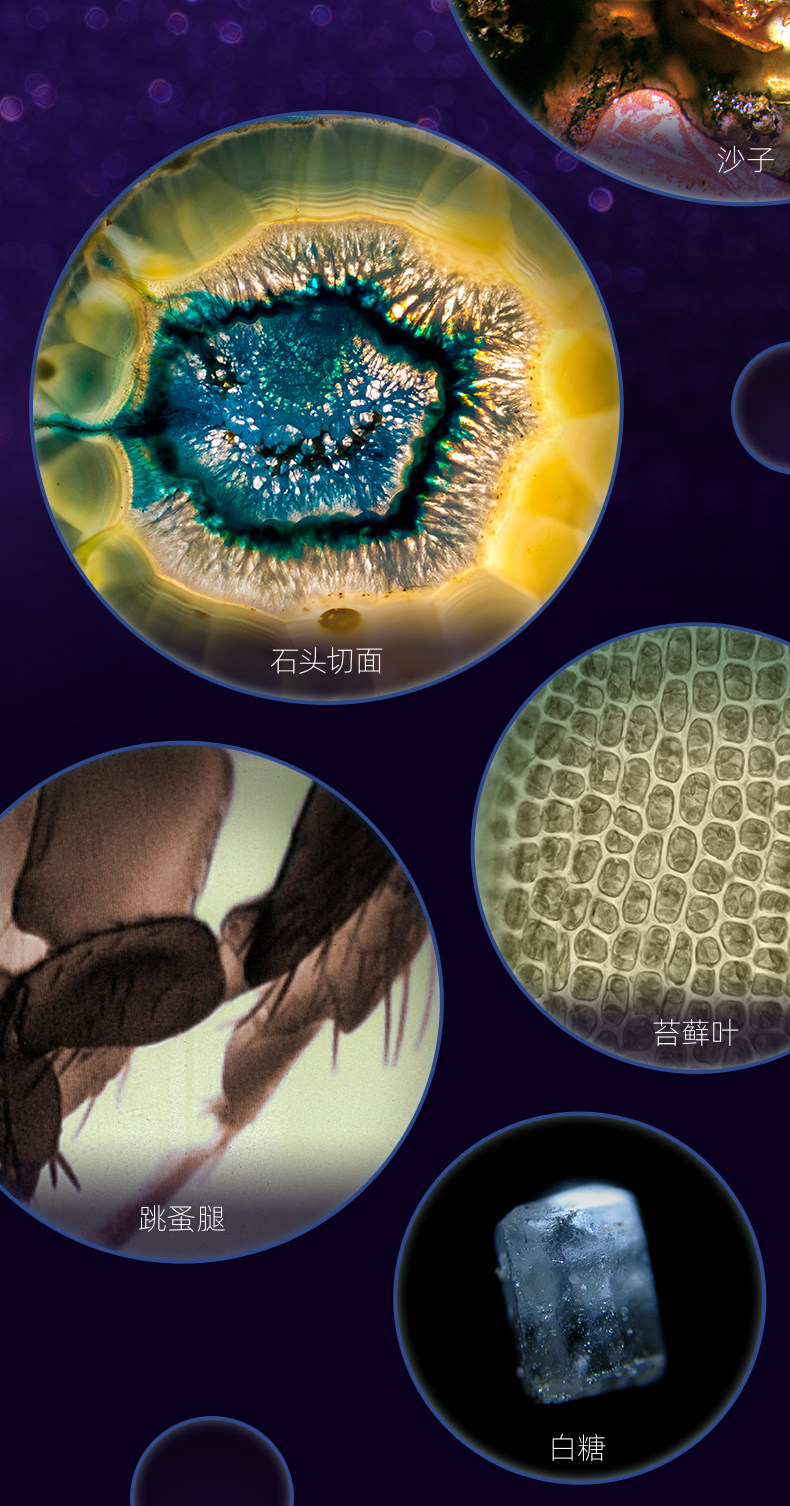 【中国直邮】Science can科学罐头 达尔文便携式显微镜 儿童户外探索观察(标本片*12)