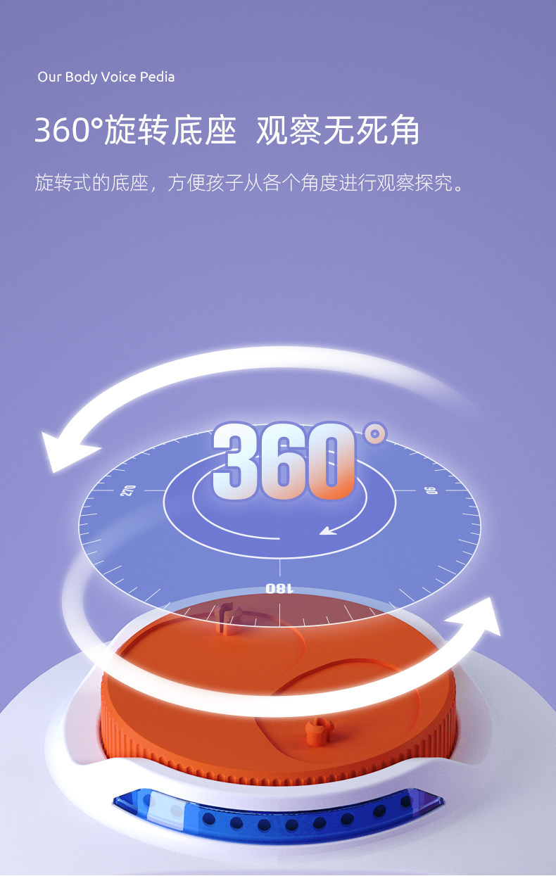 【中国直邮】Science can科学罐头 人体解剖模型器官可拆卸儿童教学玩具我们的身体语音百科