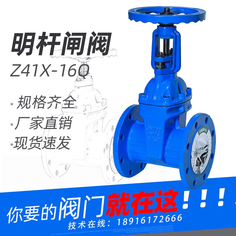 Shanghai Shanghaiwork Valve Z41X Mingpole Gate Valve Soft Seal Fire Protection Pipeline DN50 80100150200