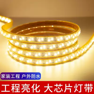 LED light strip 220V three color variable light home living room ceiling strip color rgb light bar outdoor waterproof soft light bar