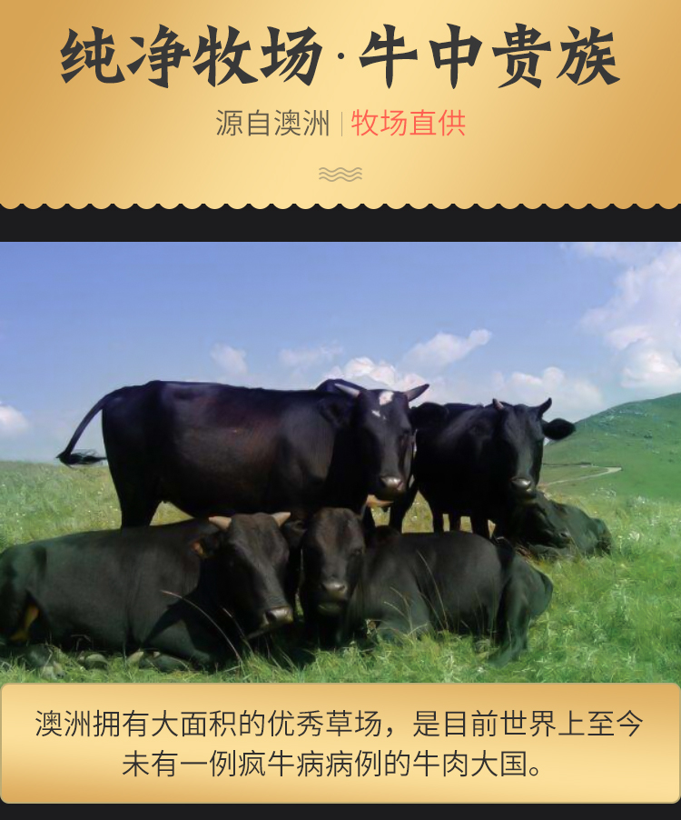 澳洲进口 源煌 肉眼/菲力/西冷 原切牛排套餐 10片共1410g 图4