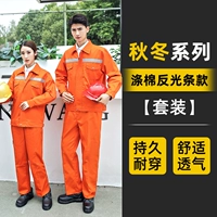 Orange Anty -light Strip Strip Model (SET) Осень и Зима