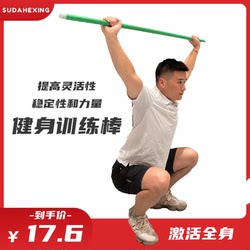 Ppr Fitness Stick Posture Assessment Posture Training Stick Martial Arts Stick Pilates Stick Yoga Stick