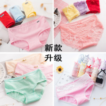 6 Panty women pure cotton ladies urban girls low waist Modal cotton lace Hot beautiful girl pants solid color