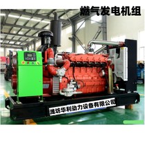 300 kilowatt gas generator set natural gas power generation emergency backup power supply factory customized quality assurance