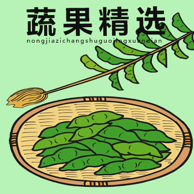 农家自产蔬果精选店