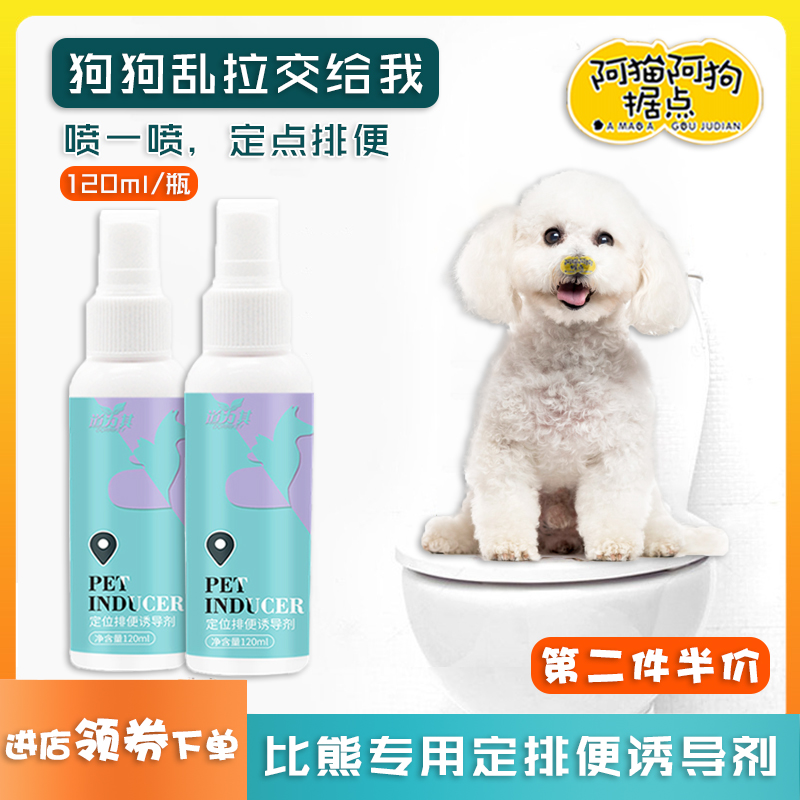 Dogs special dogs special dogs Pinpoint Defectors on Toilet Training Pets Bowels of the Dog Poo God