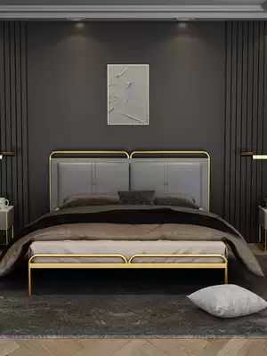 Nordic light luxury technology cloth iron bed net red ins Wind single double bed simple modern thickened reinforced iron bed frame frame