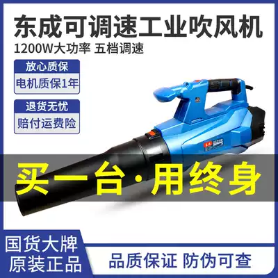 Dongcheng electric hair dryer 1200W blower FF-120 high power dust blower industrial grade Dongcheng hair dryer