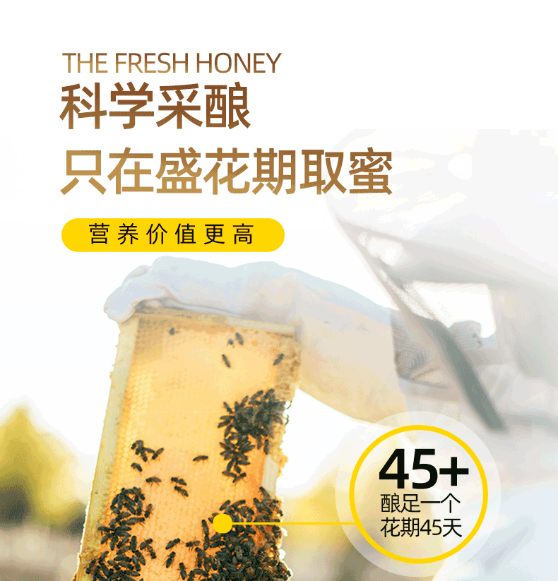 上鸪蜜匠蜂蜜纯正天然正宗百花蜜400g