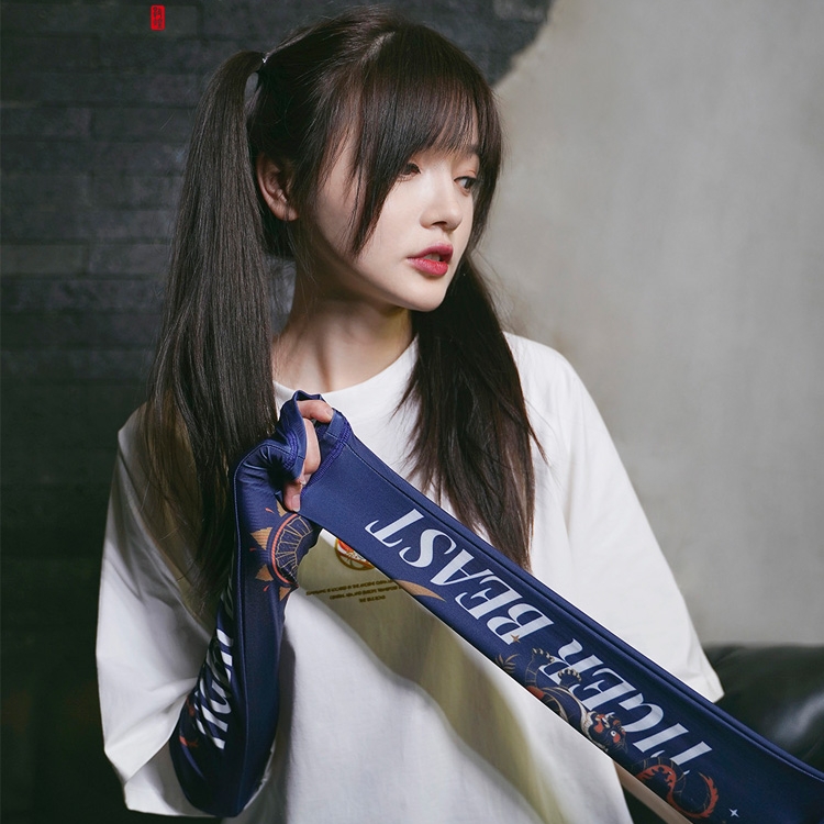 敦煌博物馆 瑞兽系列 男女同款莱卡冰丝冰袖 一对 天猫优惠券折后￥25包邮（￥55-30）