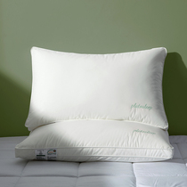 High - end 60 A - class pillow core does not collapse hotel single - person sleep antibacterial antibacterial velvet can be washed