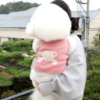 Розовый медведь (№ 1 с небольшим выбором)