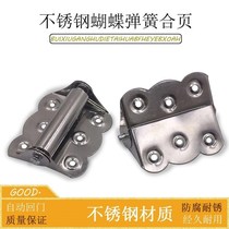 Stainless steel butterfly gauze door automatically shut door hinge spring surface shadow window reset recovery