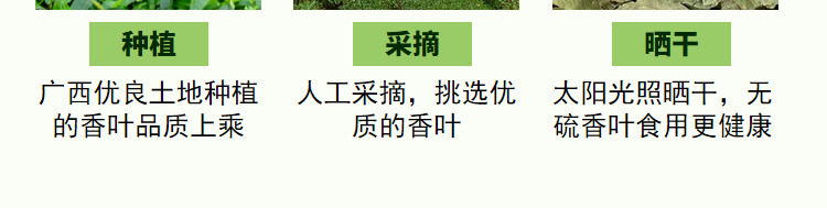 安享好物 安享B级香叶-仓谣罐装香叶  