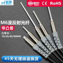 M6 Fiber Sensor Amplifier RS610 R610 RS610-S Fiber Wire Probe IR Switch