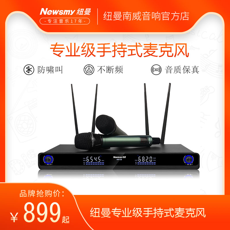 Newman NM-28 wireless microphone Home KTV cabaret host speech conference one for two wireless microphone