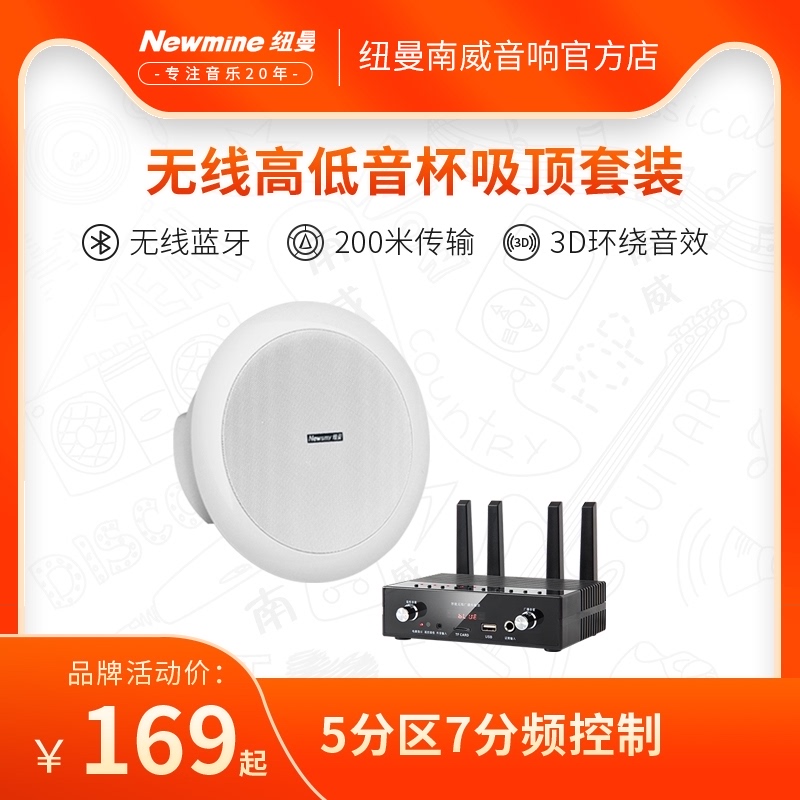Newmine Wireless Suspension Ceiling Ceiling High Quality Wireless Bluetooth Audio Set Ceiling Audio Speaker