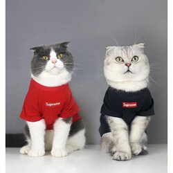 Trendy Brand Cat Anti-Shedding Clothes for British Shorthair Cats, Thin Velvet for Autumn and Winter, Summer Pet Clothes