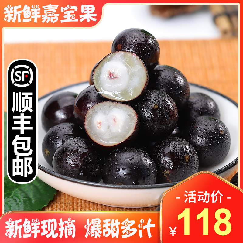 Garbo Fruit Fresh Fruit Tree Grapes Seasonal Fruits Fresh Pick 2 Pounds of Large Fruits Pregnant Women Rare Rare Exotic Fruits