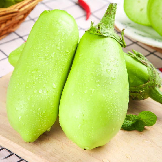 Green eggplant freshly picked from Henan seasonal farmhouse green eggplant 5Jin [Jin equals 0.5kg] large round eggplant vegetable can be eaten raw