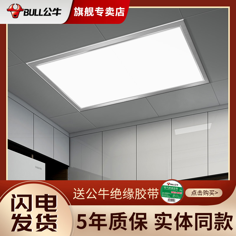 Bull Integrated Suspended led flat lamp Kitchen Makeup Room Suction top light bathroom Aluminum buttoned plate Embedded 300 * 600