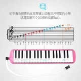 天鹅 Профессиональный орган для начинающих для школьников для взрослых, 37 клавиш, обучение