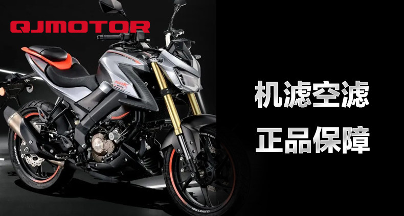 Original Qianjiang Motorcycle Parts Chase 150 QJ150-31B Air Filter Element Oil Filter Machine Air Filter