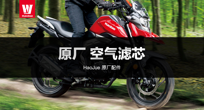 Original application Haojue motorcycle pull DL150 HJ150-17A air filter element filter air filter