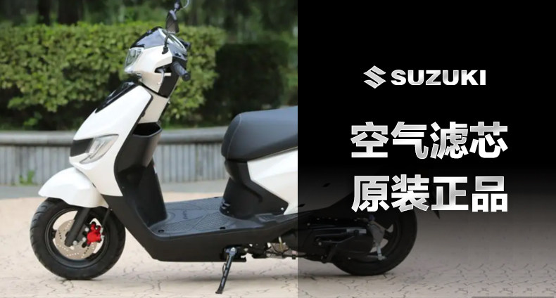 Light Riding Motorcycle Le Zhili to UZ UR110 Dolphin Air Filter QS110T-2 Air Filter Core Original