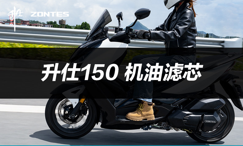 Shengshi Pedal Motorcycle 150D 150M ZT150T-D2-M2 Oil Filter Filter Machine Filter Accessories