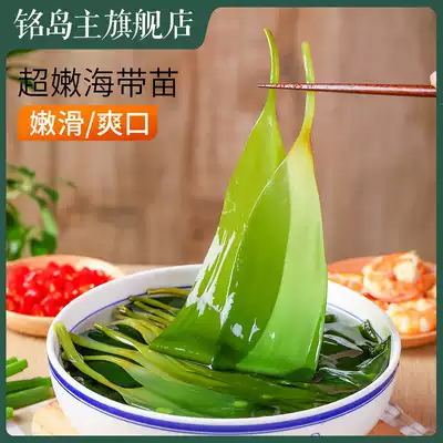 Salted kelp seedlings, fresh small kelp buds, Rongcheng specialty cold salad, non-special grade dry food cold salad hot pot ingredients