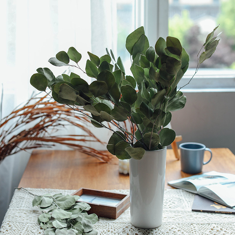 Nordic Ins Round Leaf Yugali Leaves Dry Flowers Real Flowers Air-dried Natural Living Room Decoration Pendulum Apple Leaf Dried Flowers