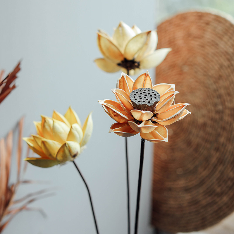 For Buddhist lotus lotus lotus lotus leaf Chinese style Zen-style Dried Flowers Real Flowers Living-room Decoration Pendulum emulated Classical Flower