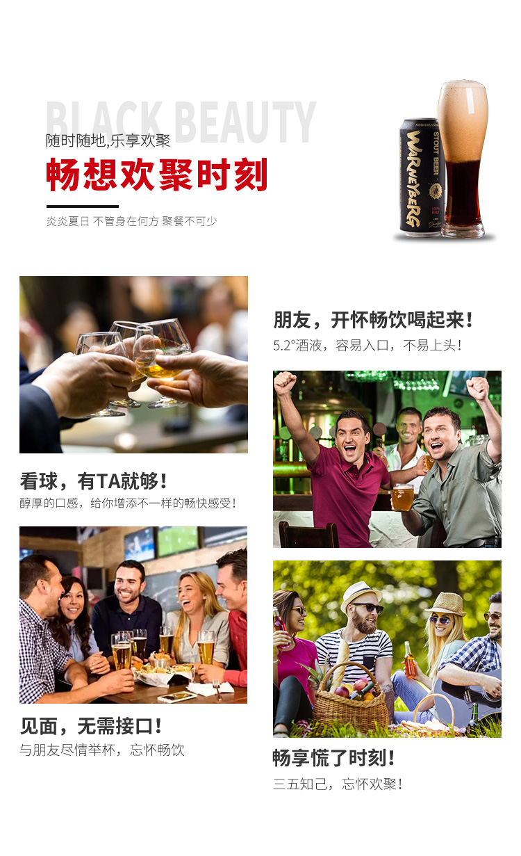 沃尼伯格 精酿啤酒 全麦黑啤 500ml*6罐 图5