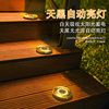 Solar Buried Lights Home Outdoor Waterproof Plug-in Road Lawn Lights LED Garden Garden Decorative Landscape Lights