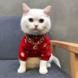 Кошки и собаки Новый год одежда Зимняя кошка красивая зимняя домашняя кошка кошка британская короткая голубая кошка осень и зимний прилив