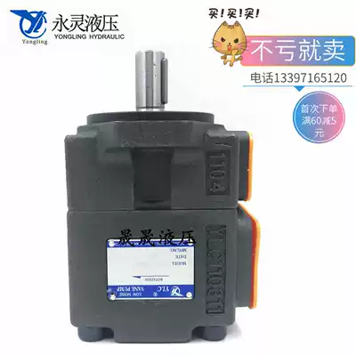 Xianju Yongling vane pump YLC PV2R1-31-F1 PV2R1-23 25 28 31 17 14 12RAF1
