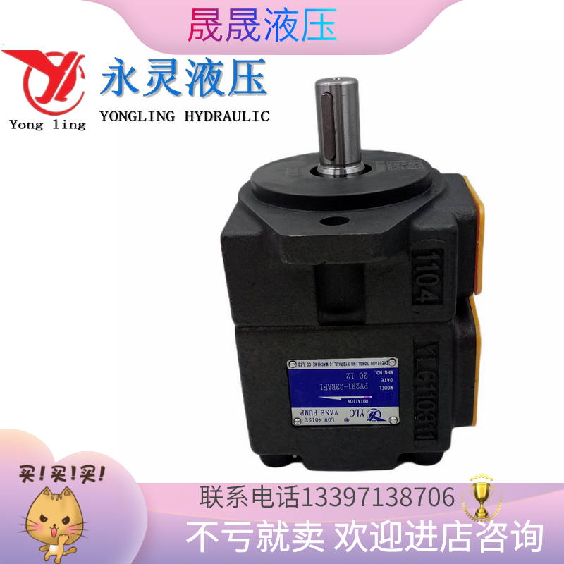 Original dress YLC Yongling hydraulic oil pump PV2R1-19F1 PV2R1-4 6 8 10 12 14F1 vane pump-Taobao